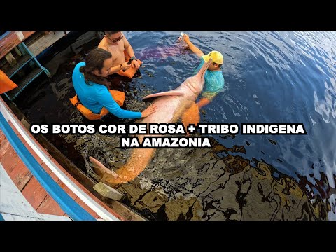 Os Botos cor de rosa + Tribo indigena na amazônia