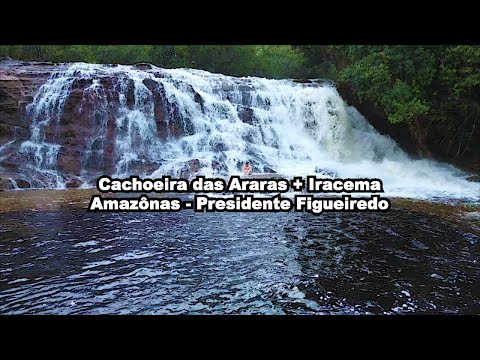 Cachoeira das araras na Amazônia em presidente figuereido