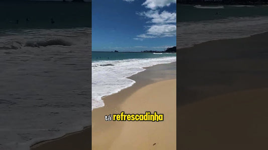 Palm Beach em Gold Coast: Um Paraíso Tropical! 🏖🇦🇺