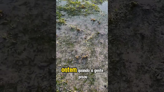 O mar secou em El Nido? 😲🌊